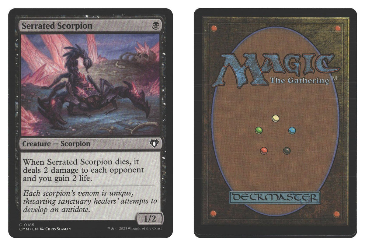 Front + Back scan