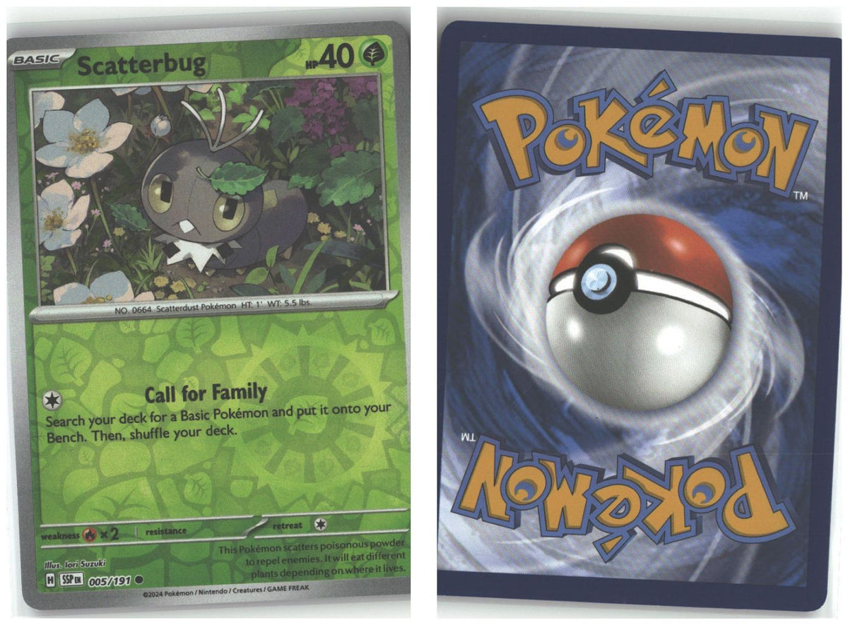 Front + Back scan