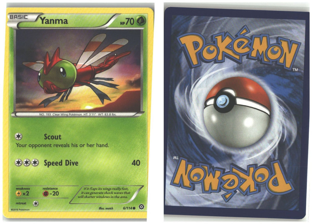 Front + Back scan