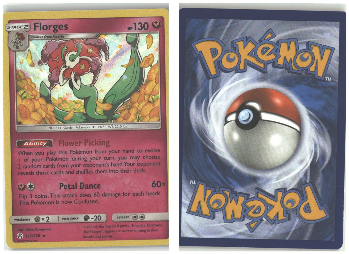Front + Back scan