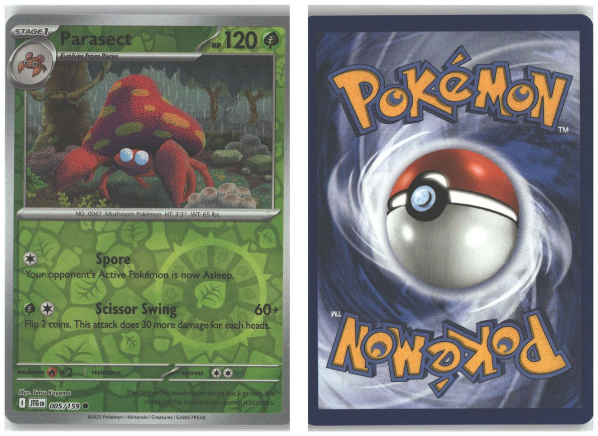 Front + Back scan