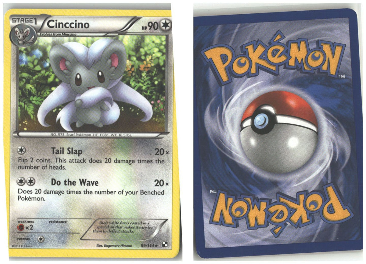 Front + Back scan