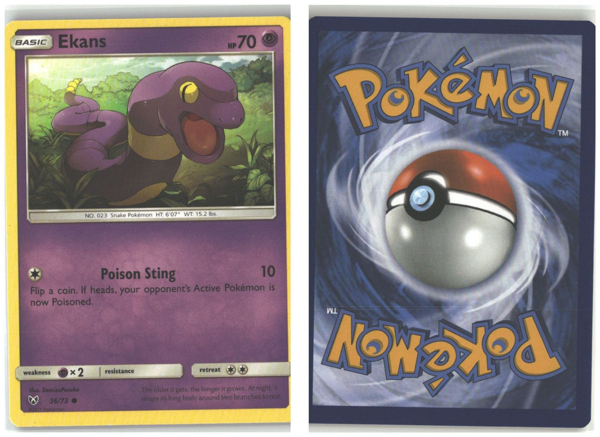 Front + Back scan