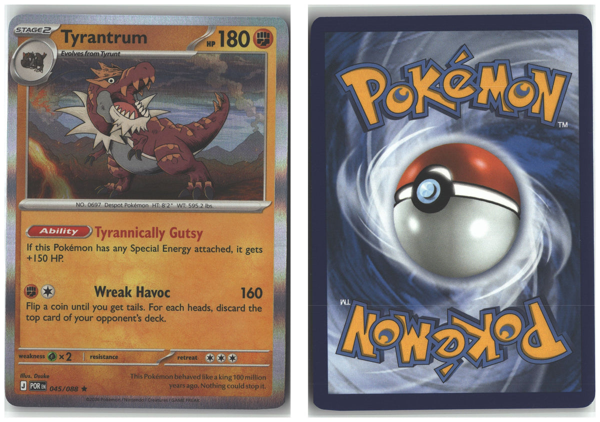 Front + Back scan