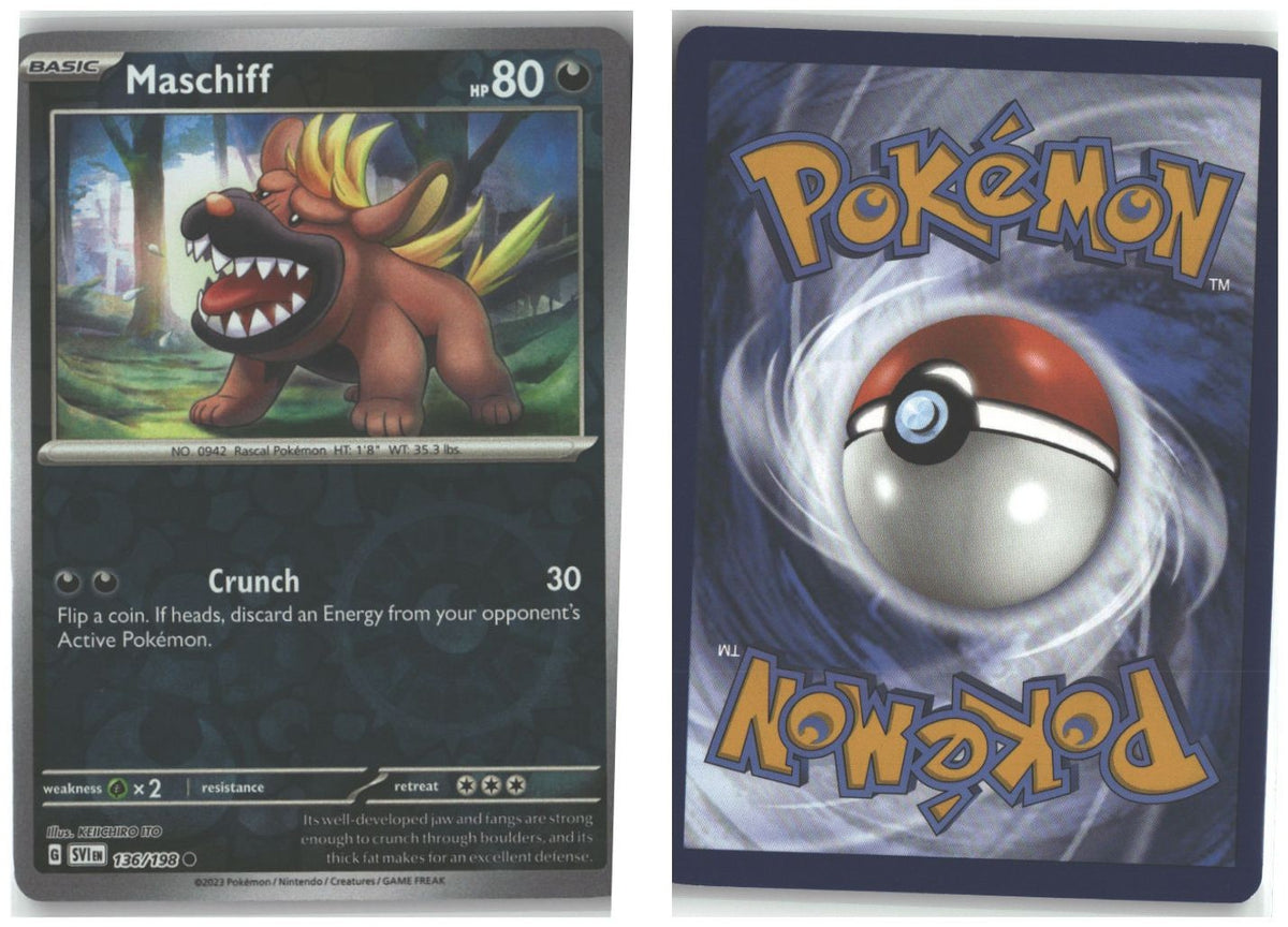 Front + Back scan