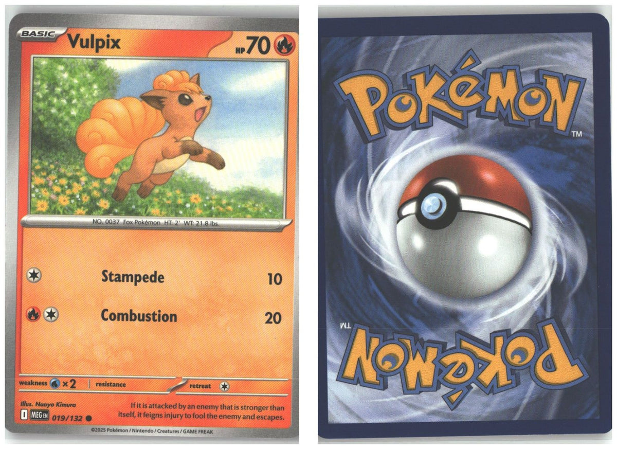Front + Back scan