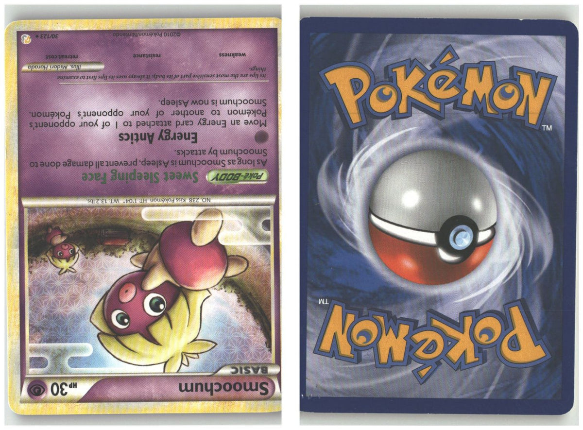 Front + Back scan