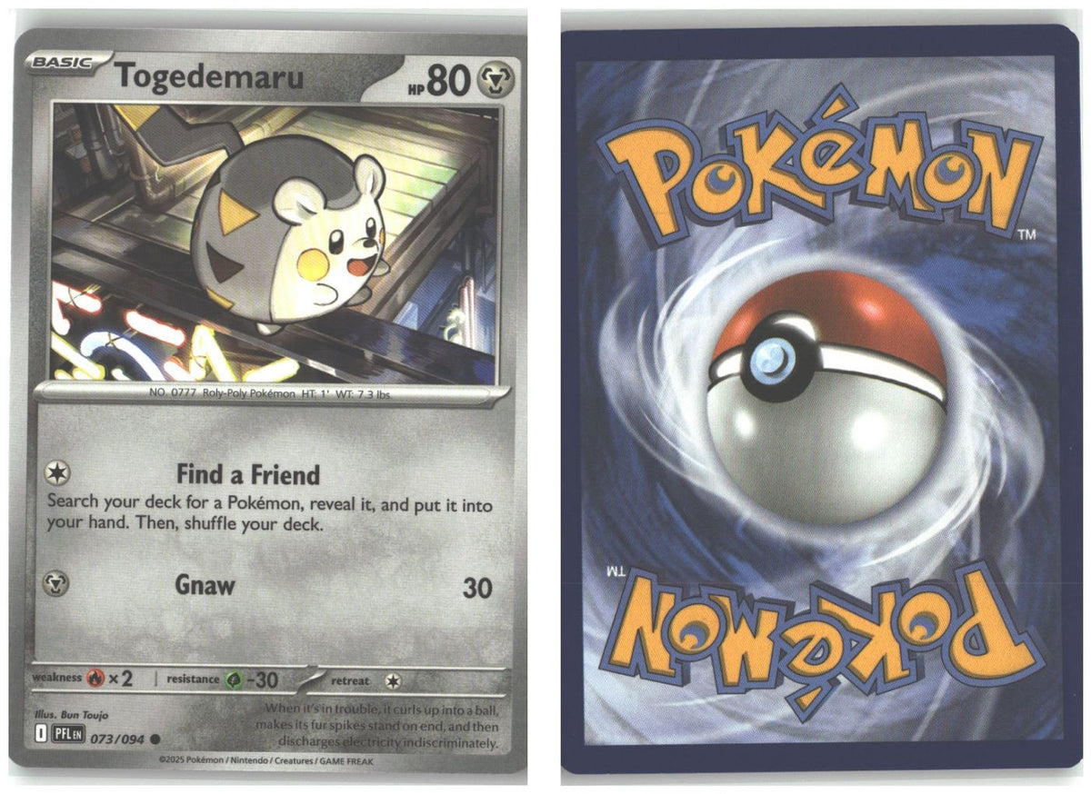Front + Back scan