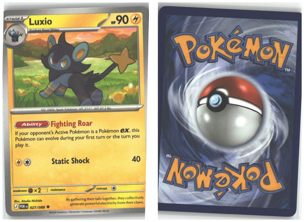 Front + Back scan