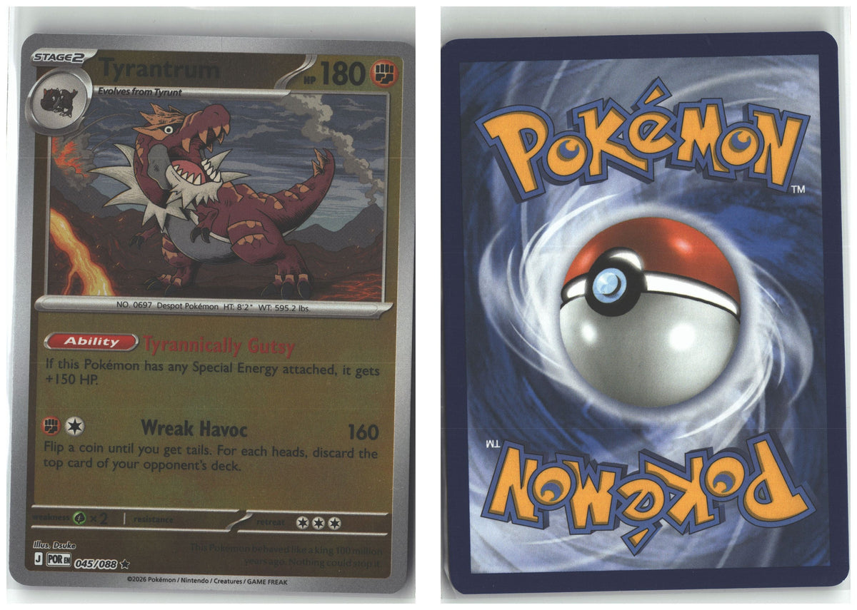 Front + Back scan