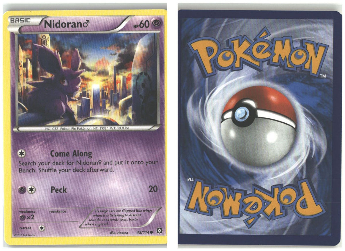 Front + Back scan