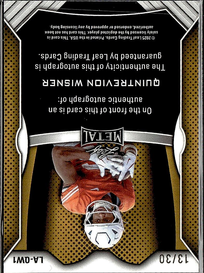 2024 Leaf MetalQuintrevion Wisner auto /30