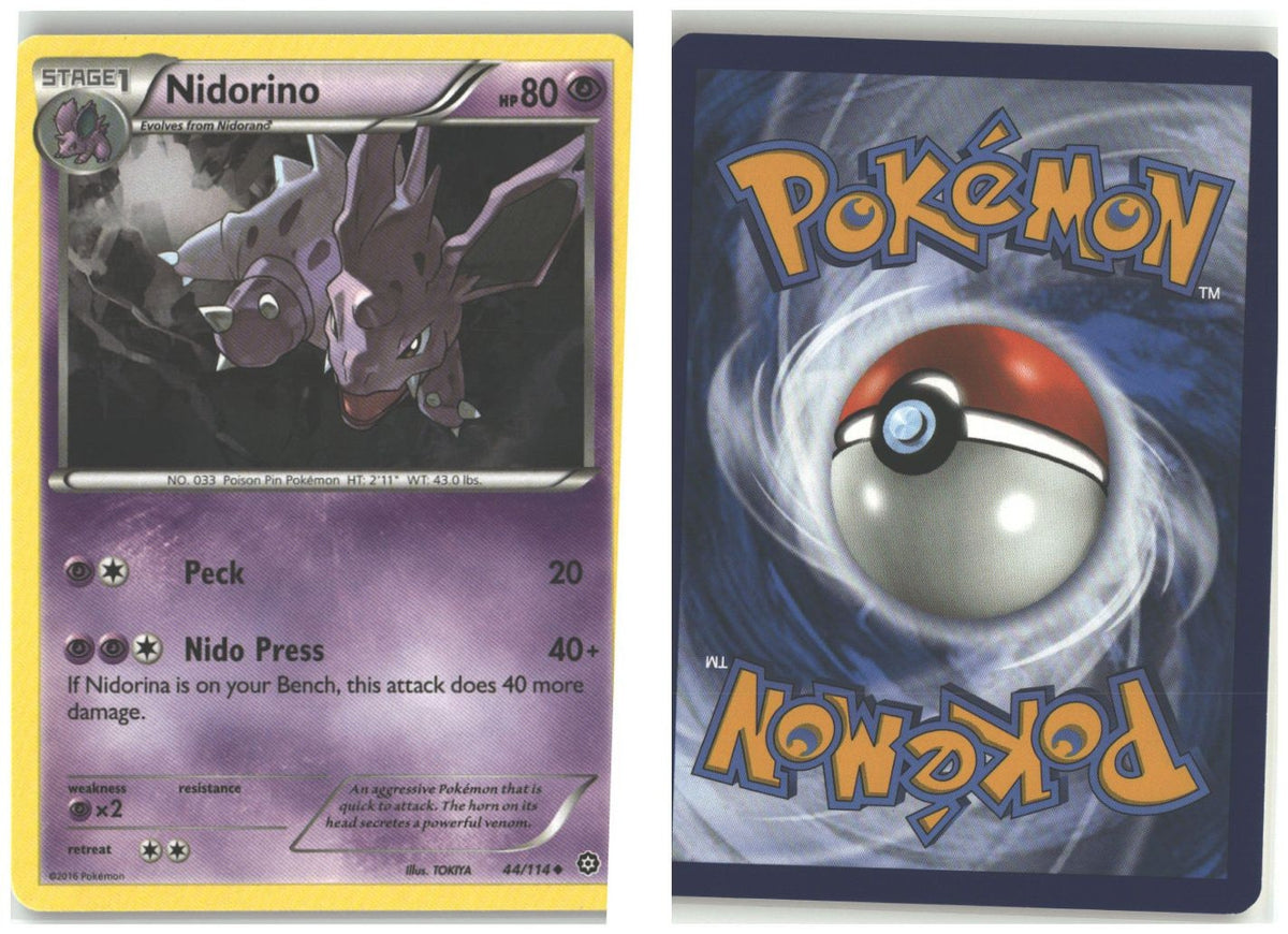 Front + Back scan