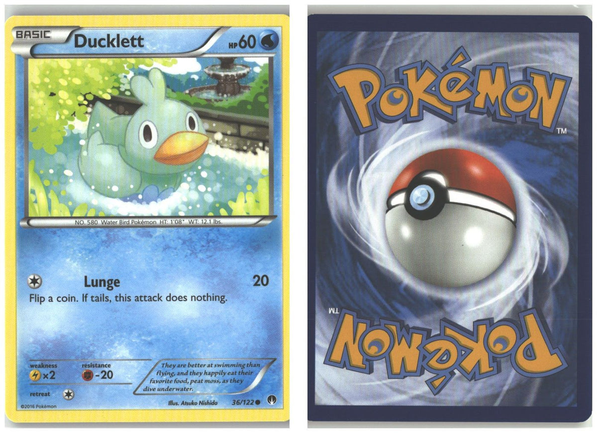 Front + Back scan
