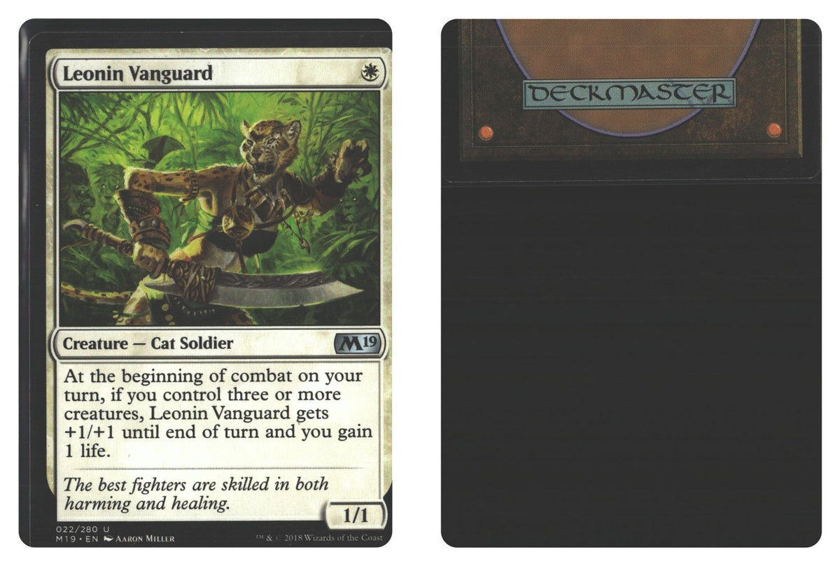 Front + Back scan