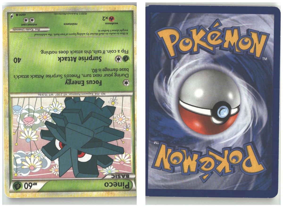 Front + Back scan