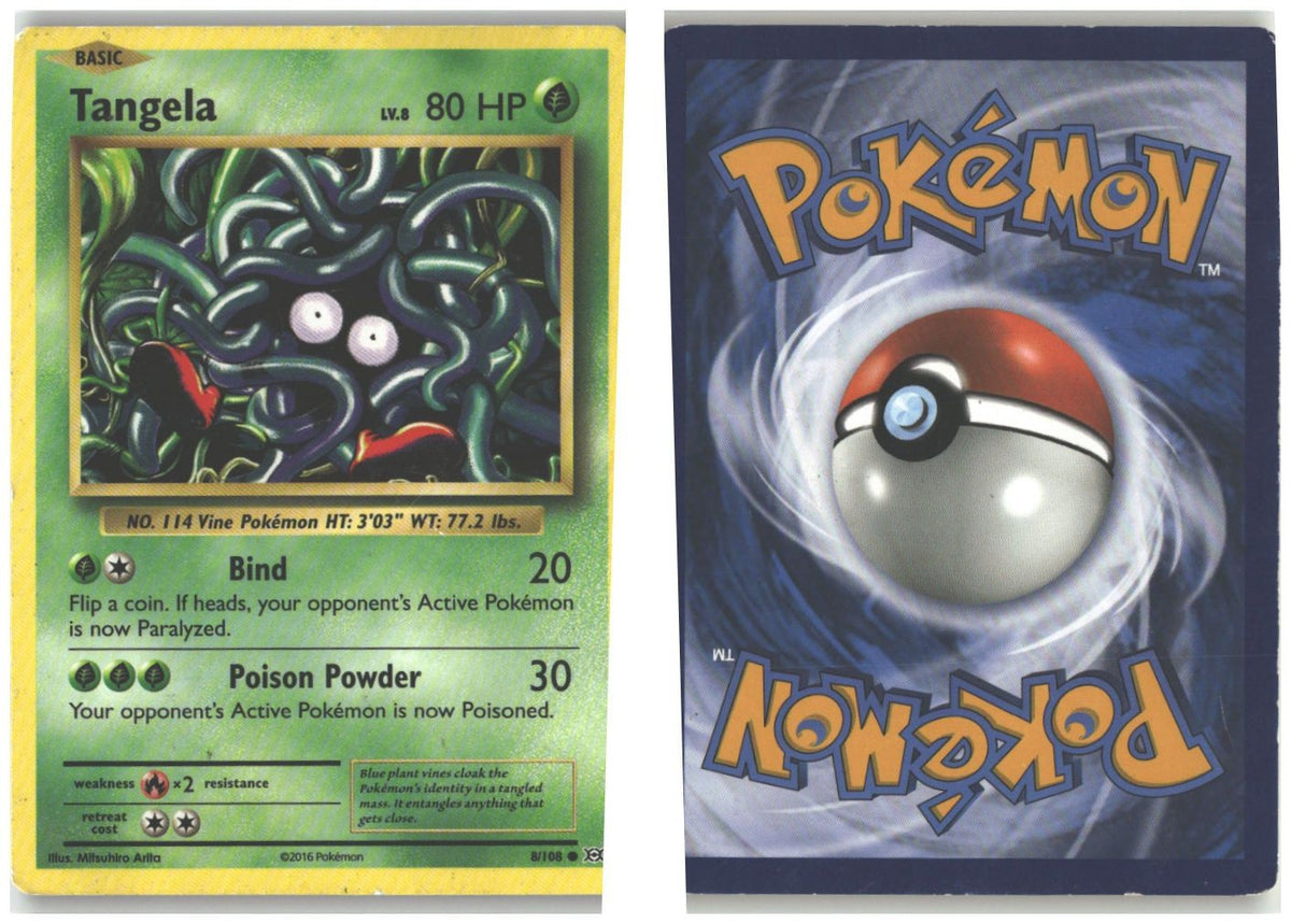 Front + Back scan