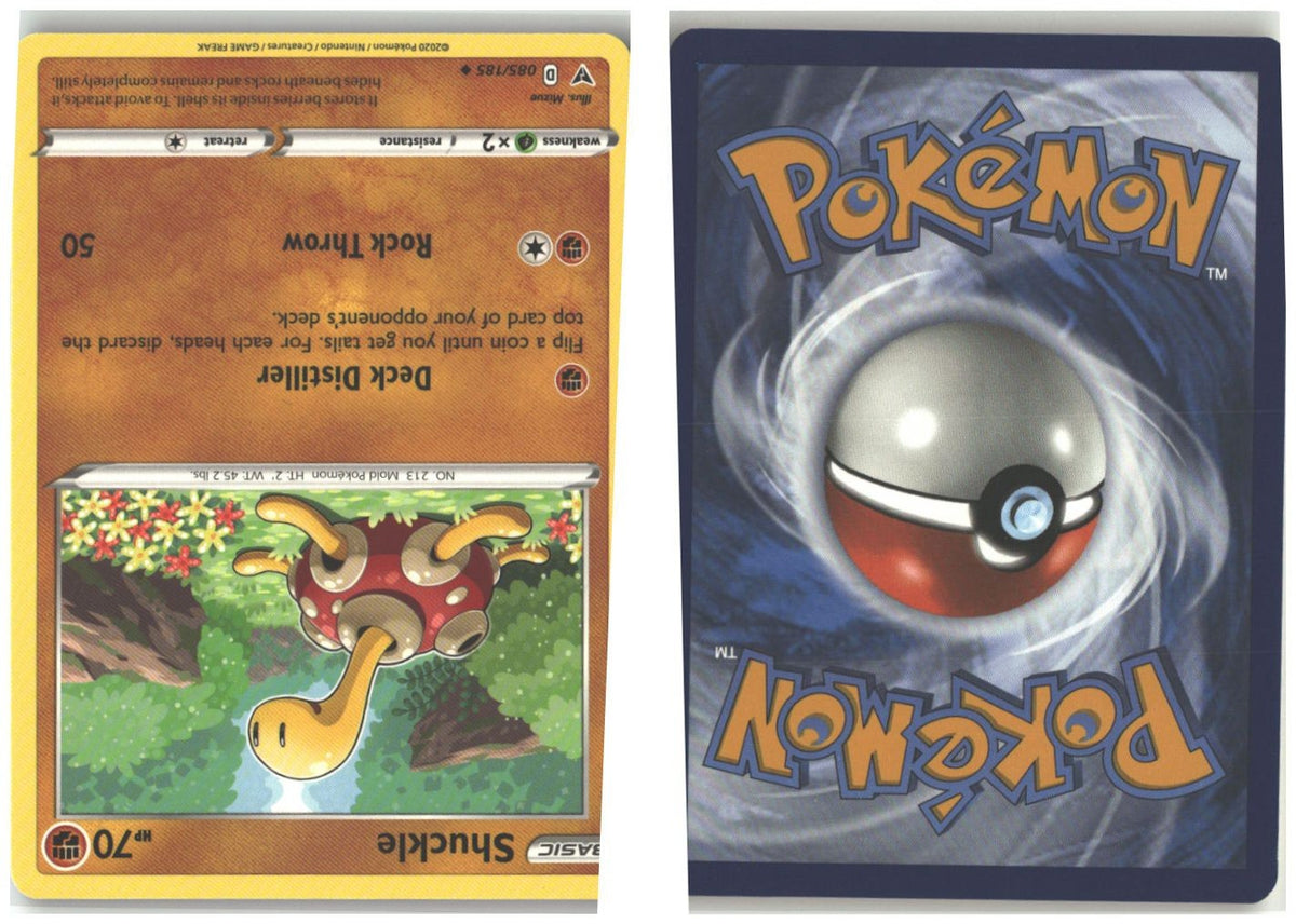 Front + Back scan