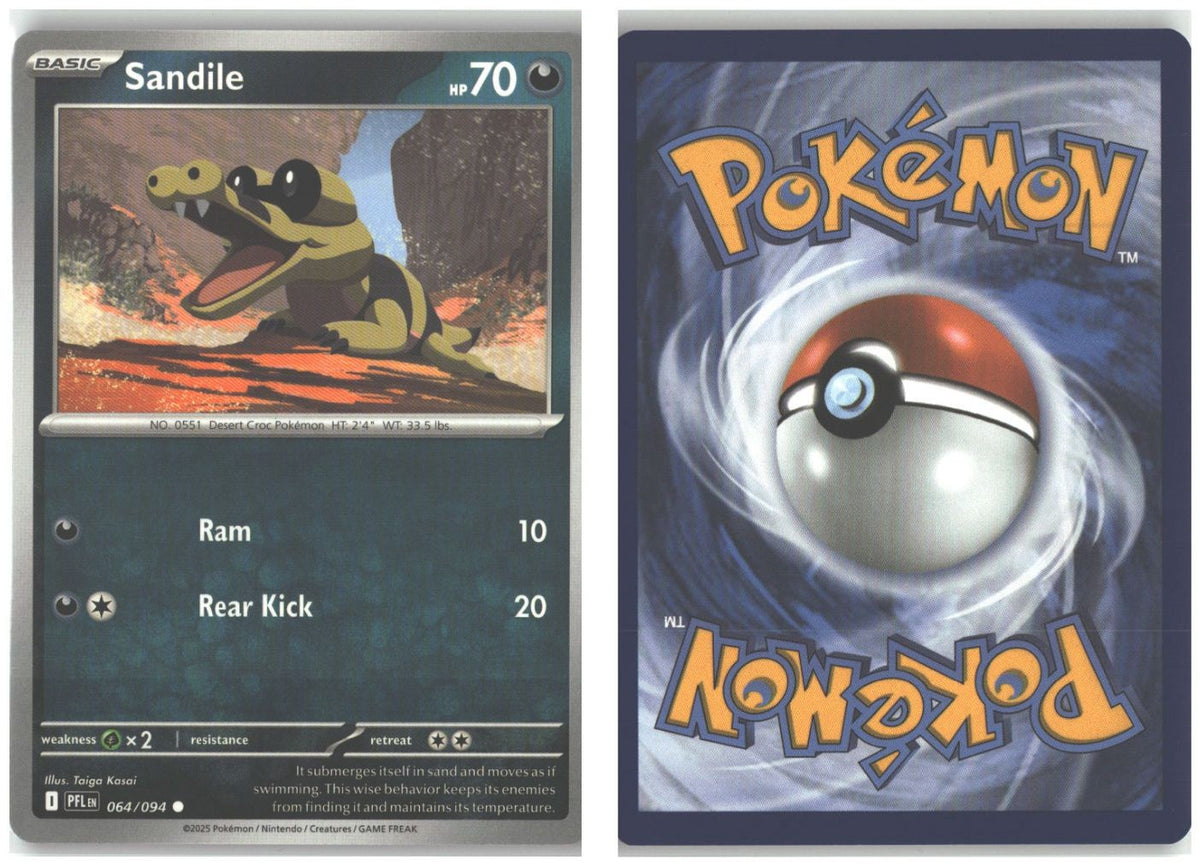 Front + Back scan