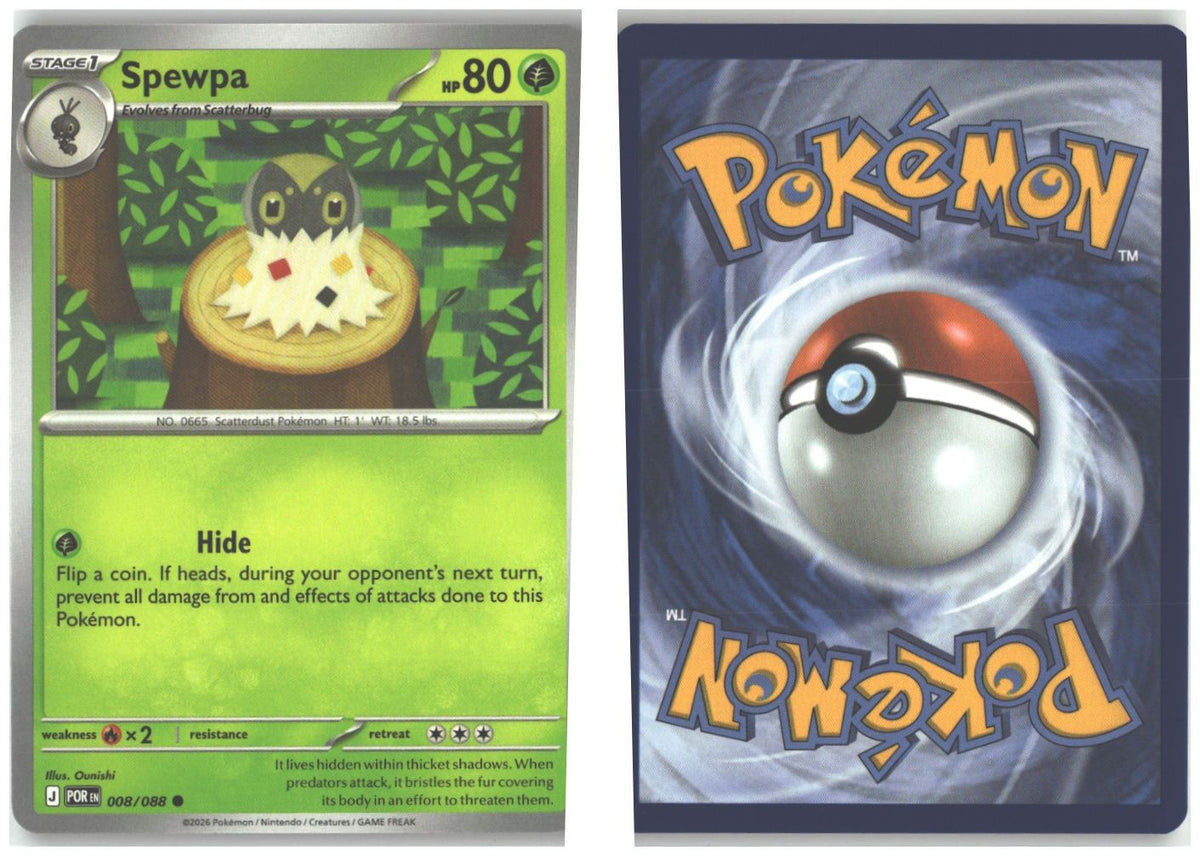 Front + Back scan