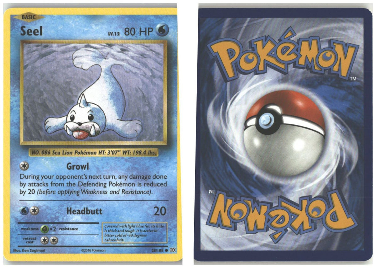 Front + Back scan