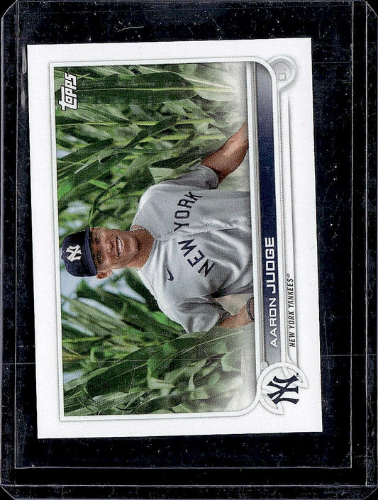 2022 Topps Flagship Aaron Judge Feild of Dreams Mini
