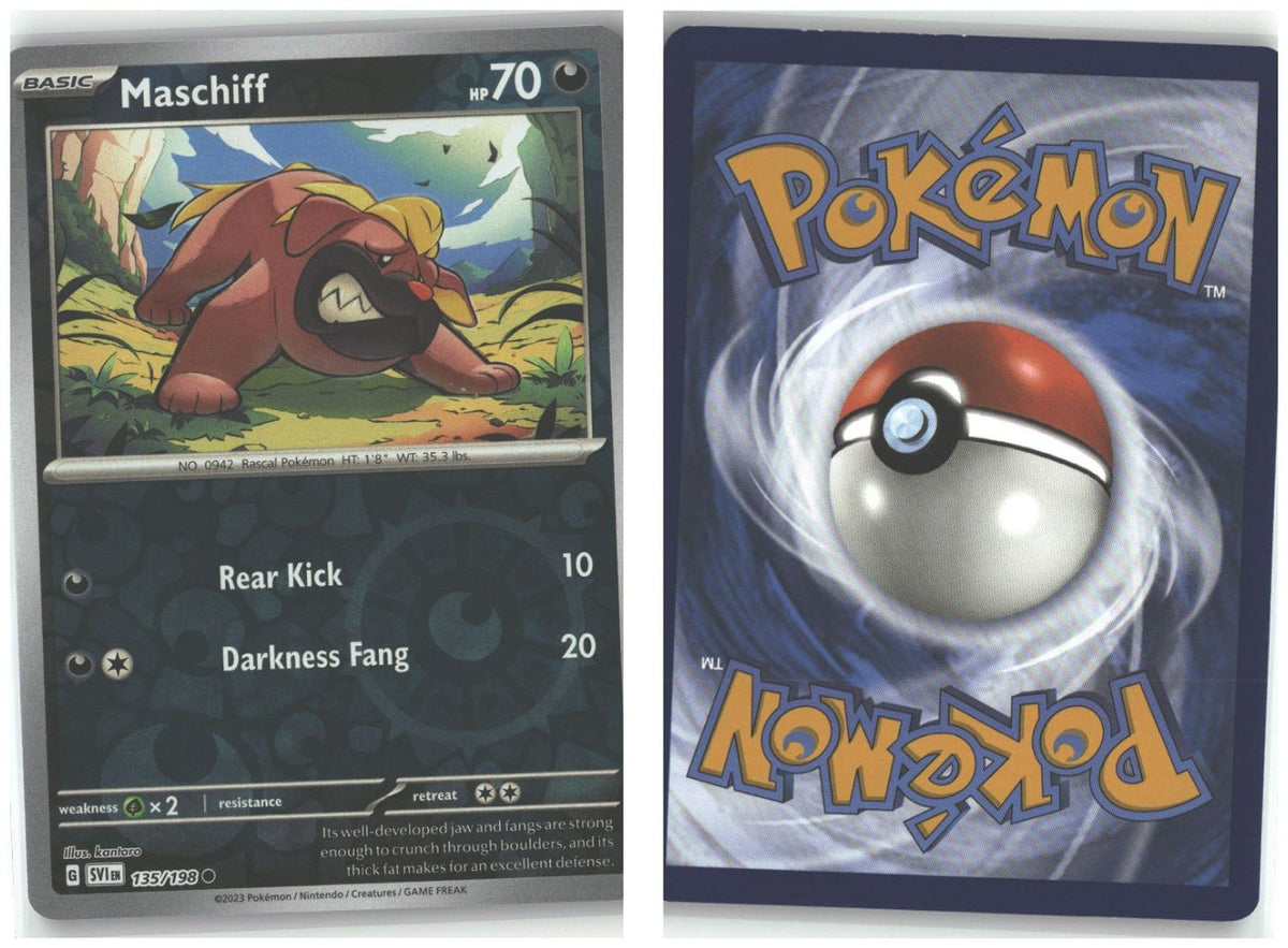 Front + Back scan