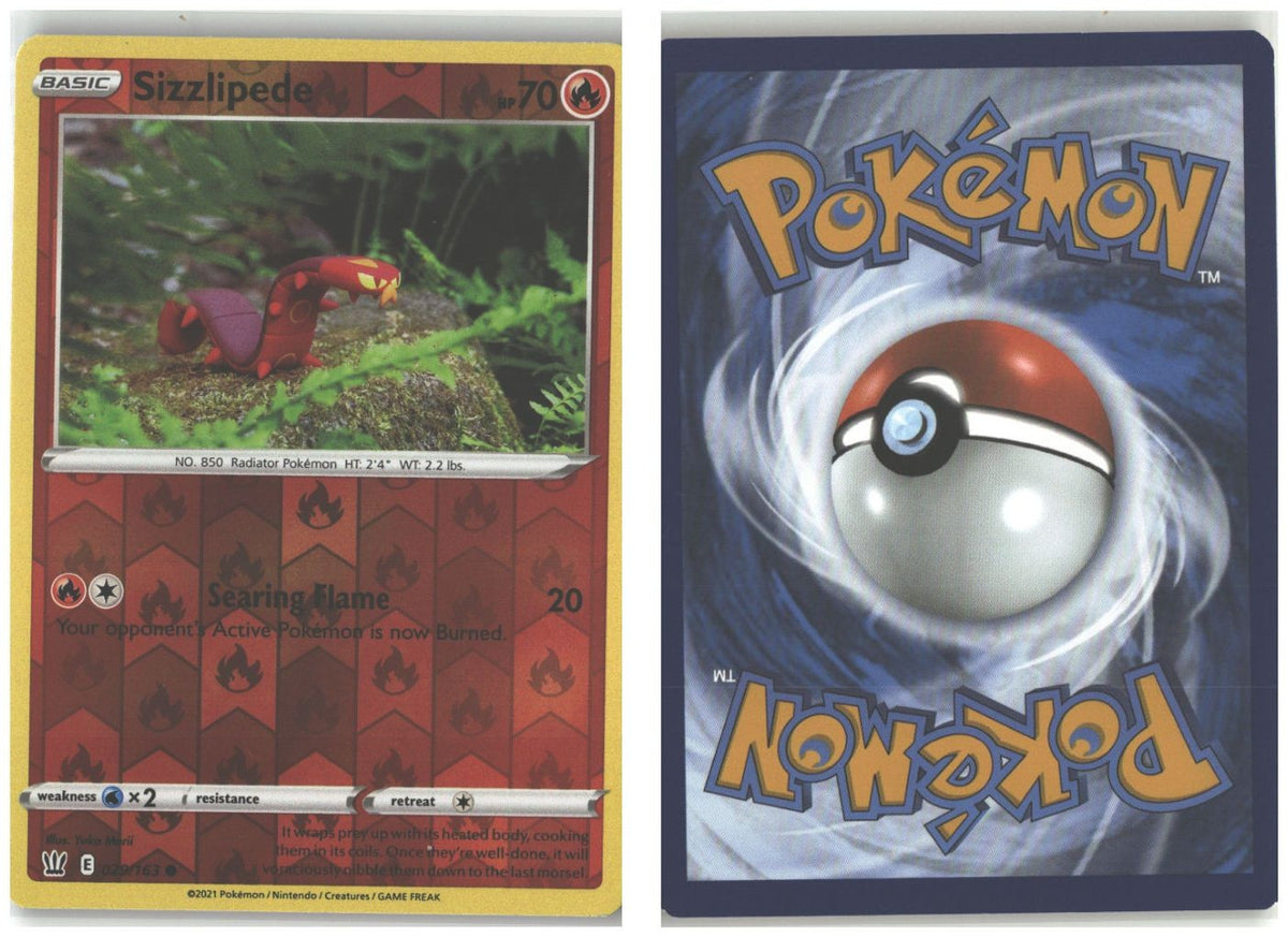 Front + Back scan