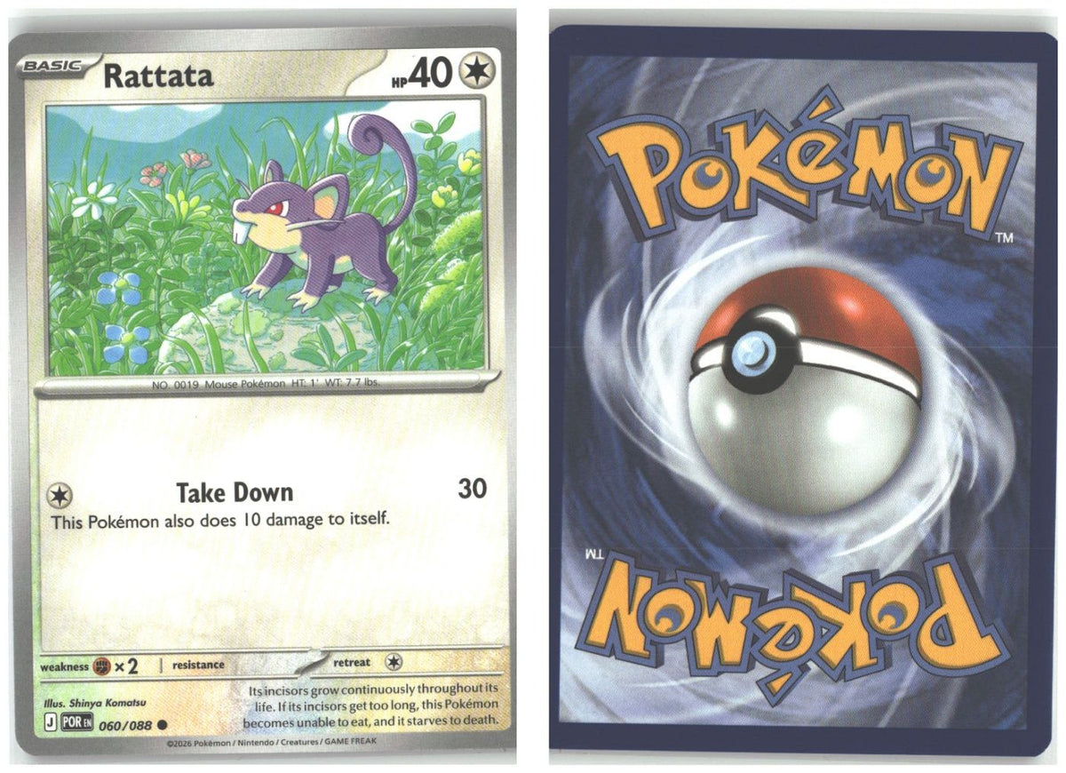 Front + Back scan