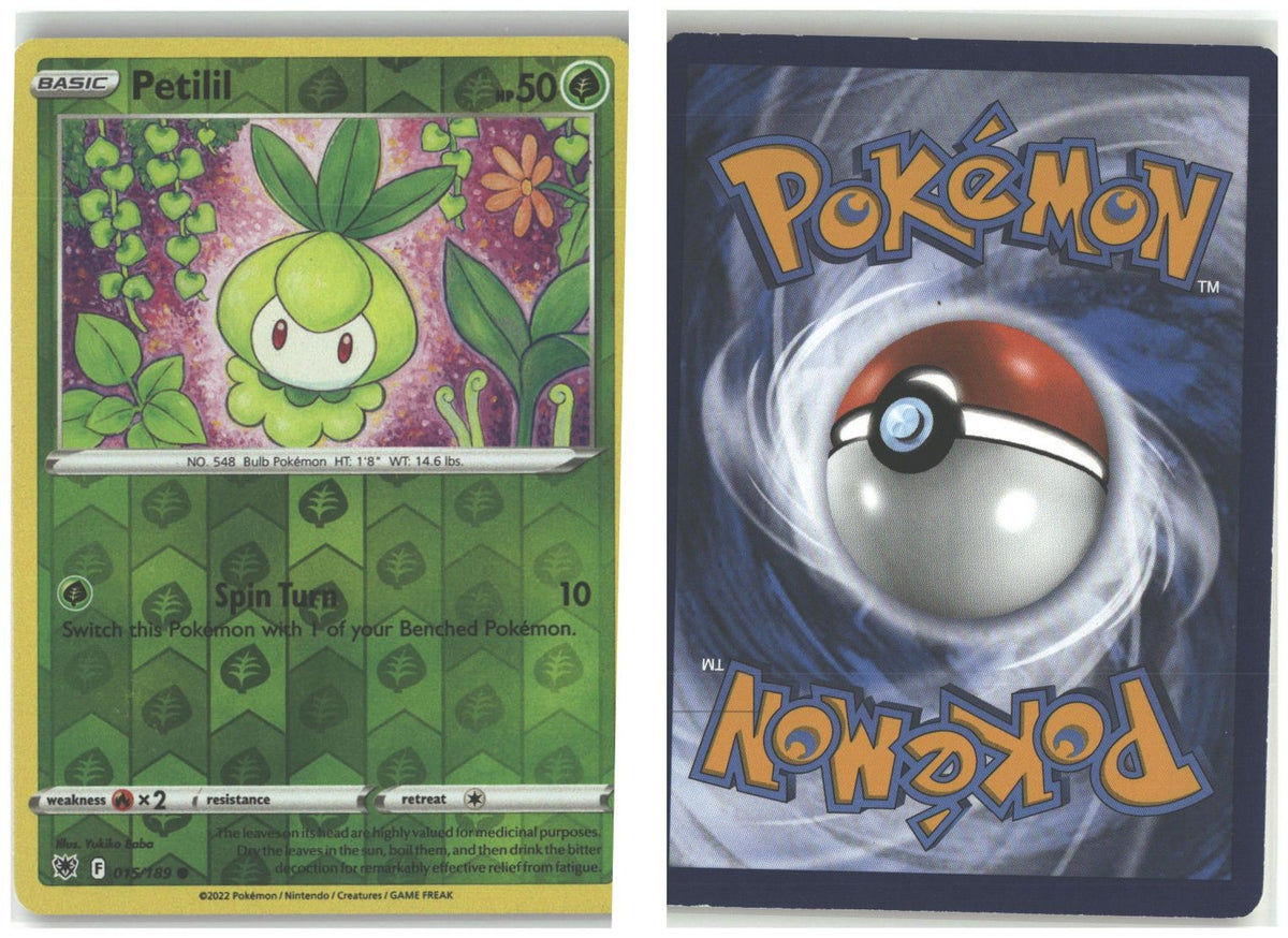 Front + Back scan