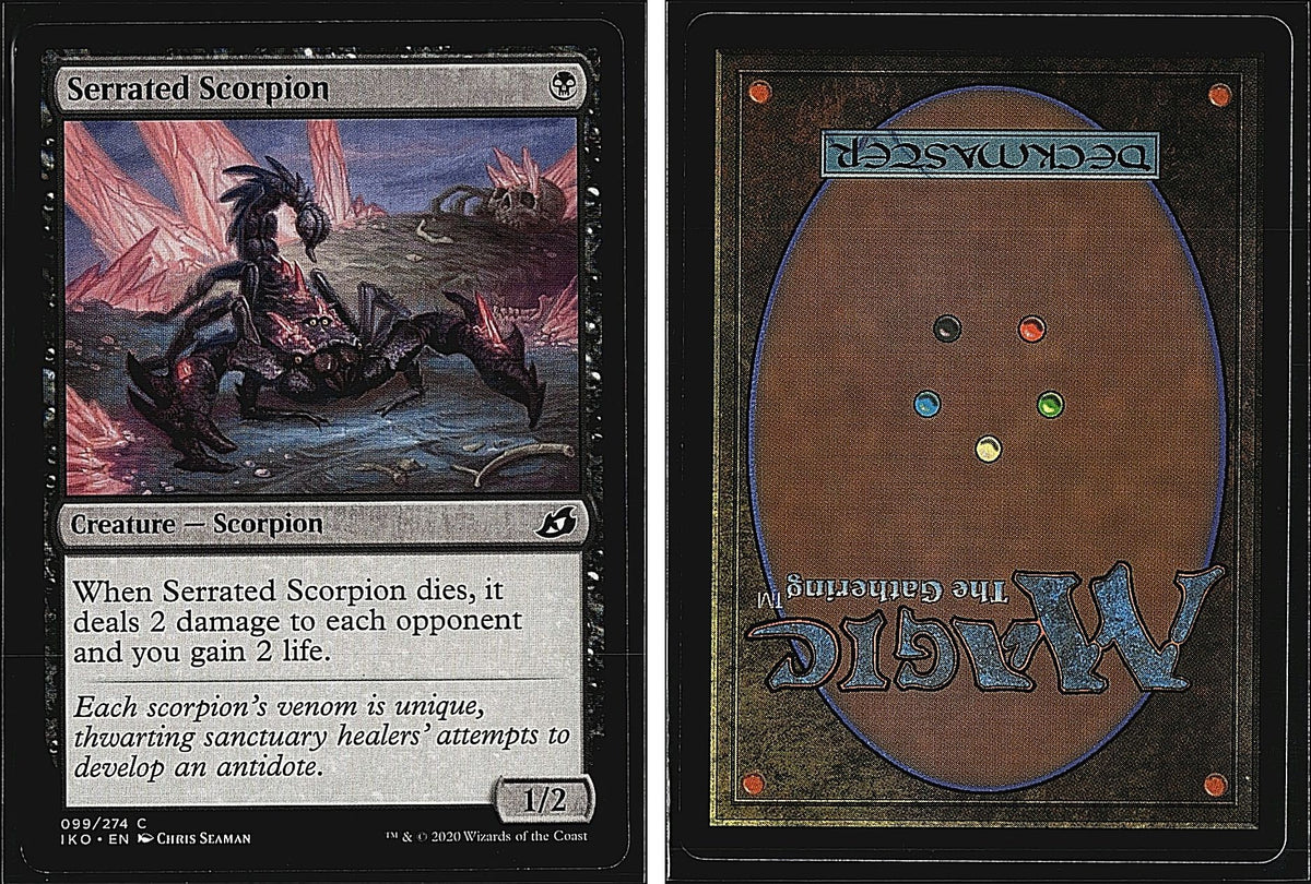 Front + Back scan
