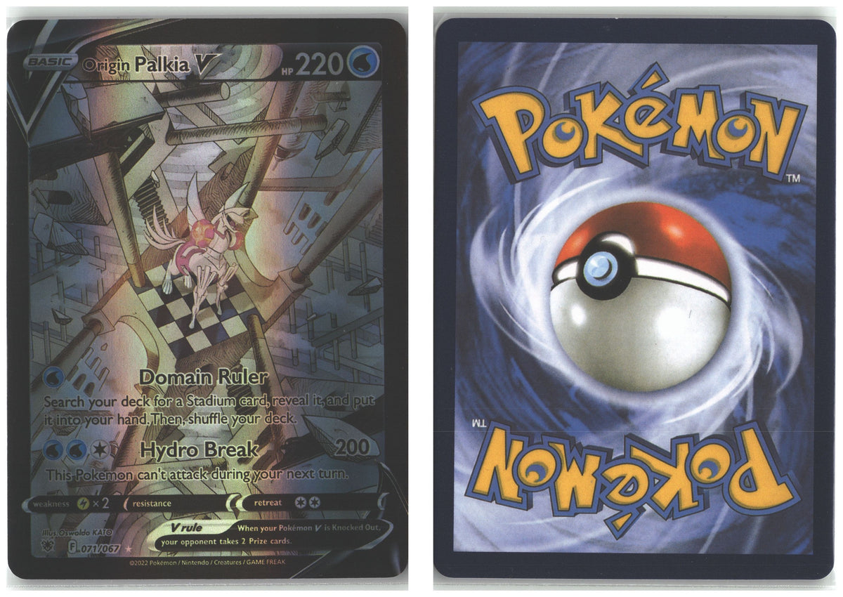 Front + Back scan