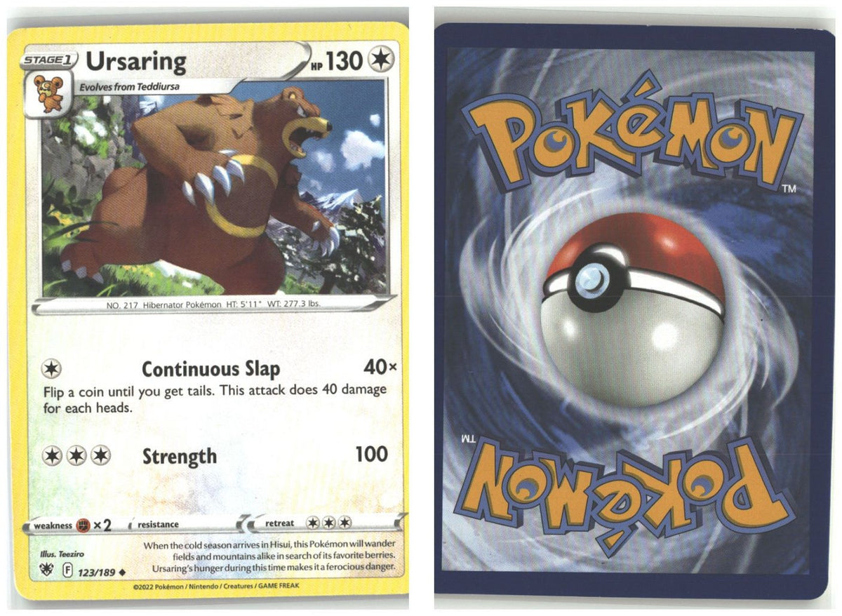 Front + Back scan