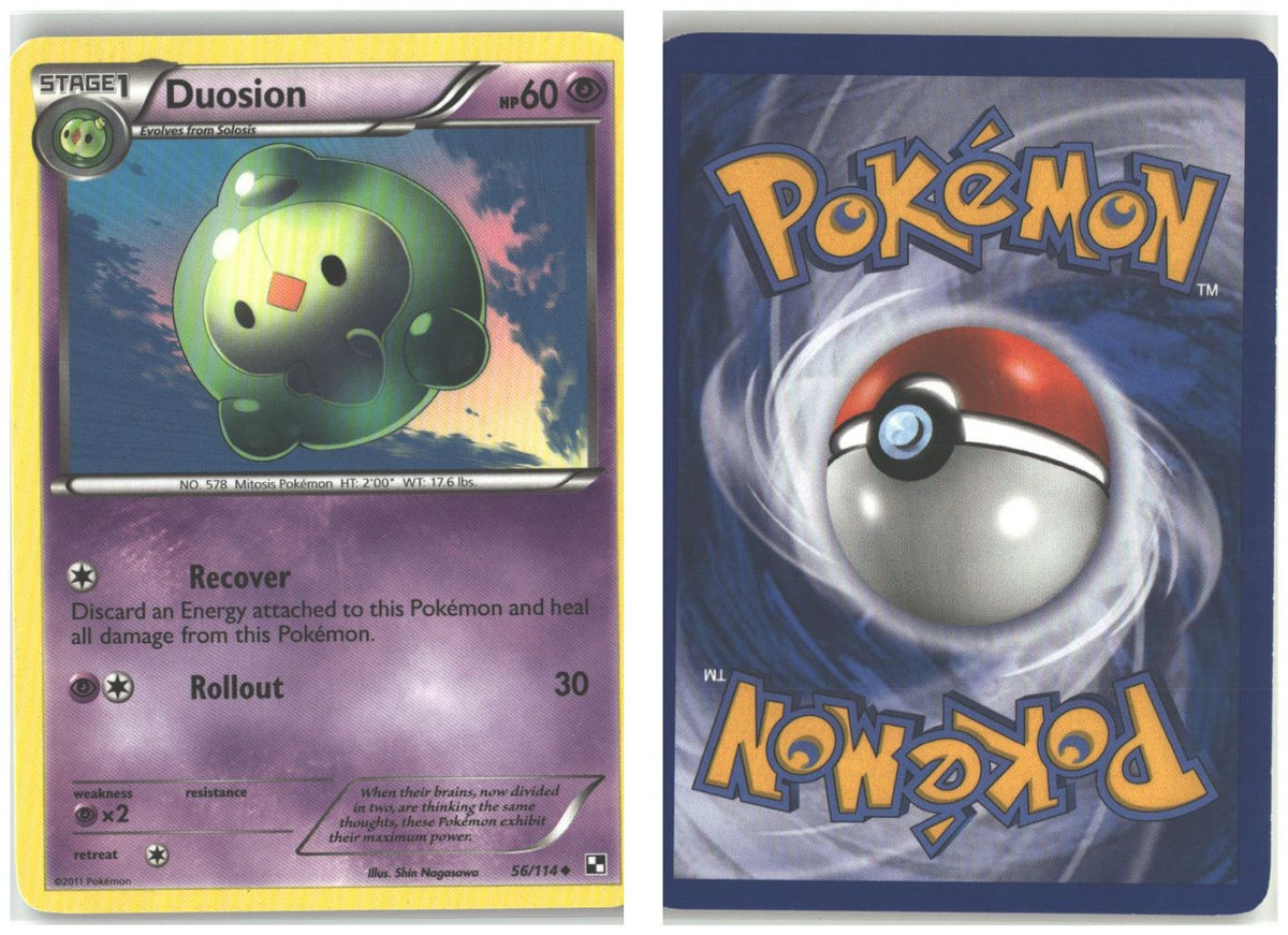 Front + Back scan