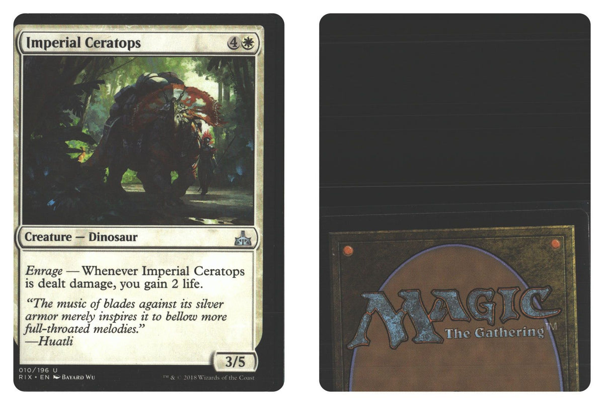 Front + Back scan