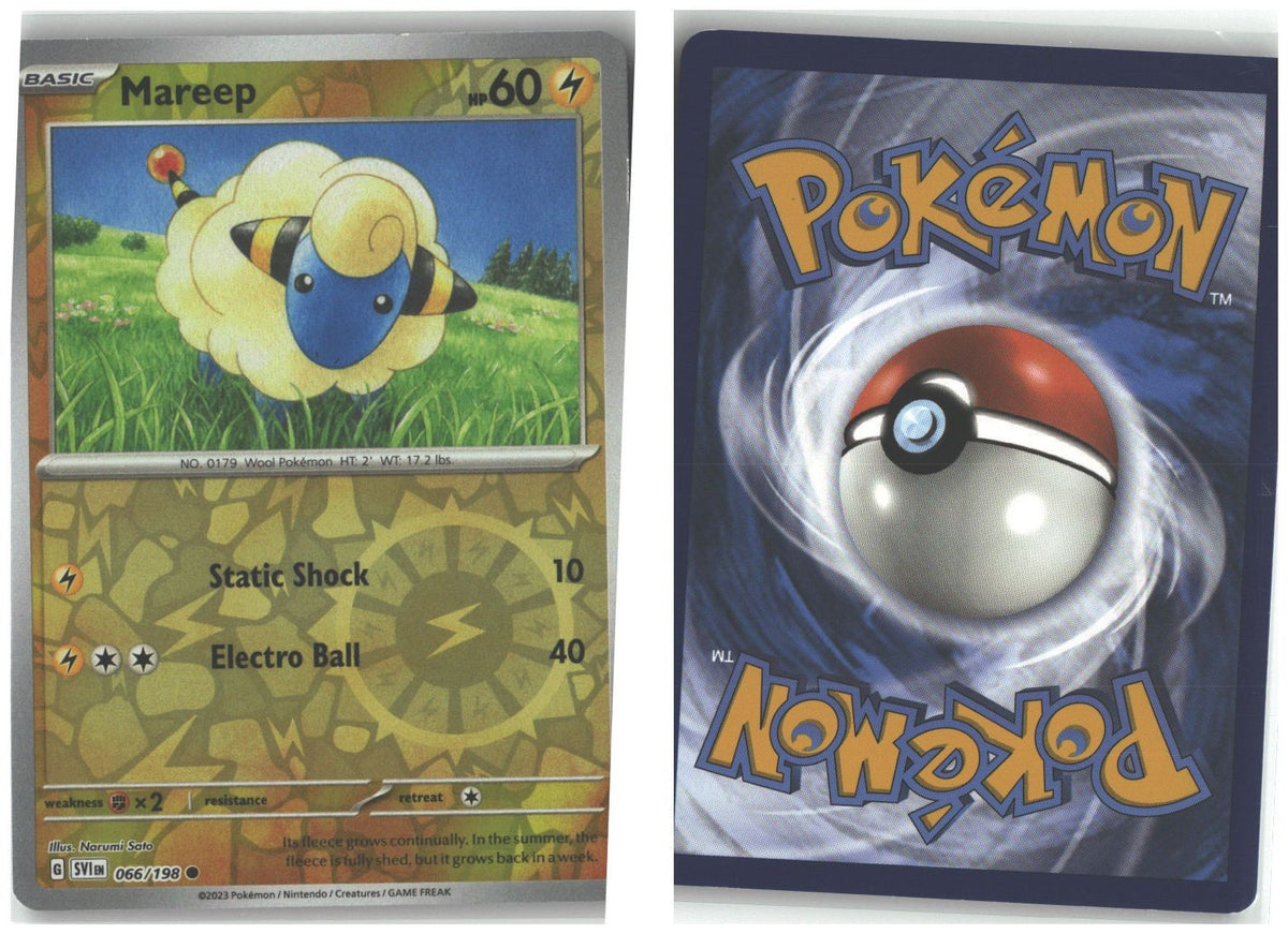 Front + Back scan