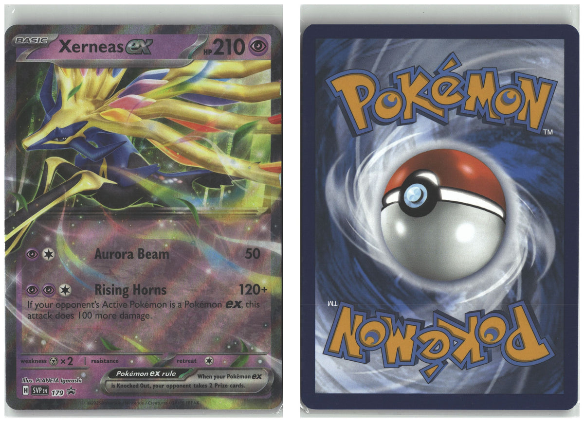 Front + Back scan