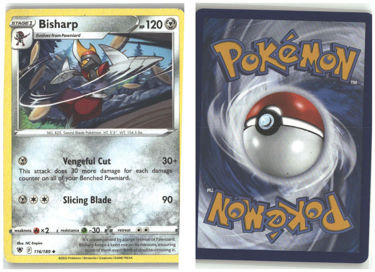 Front + Back scan