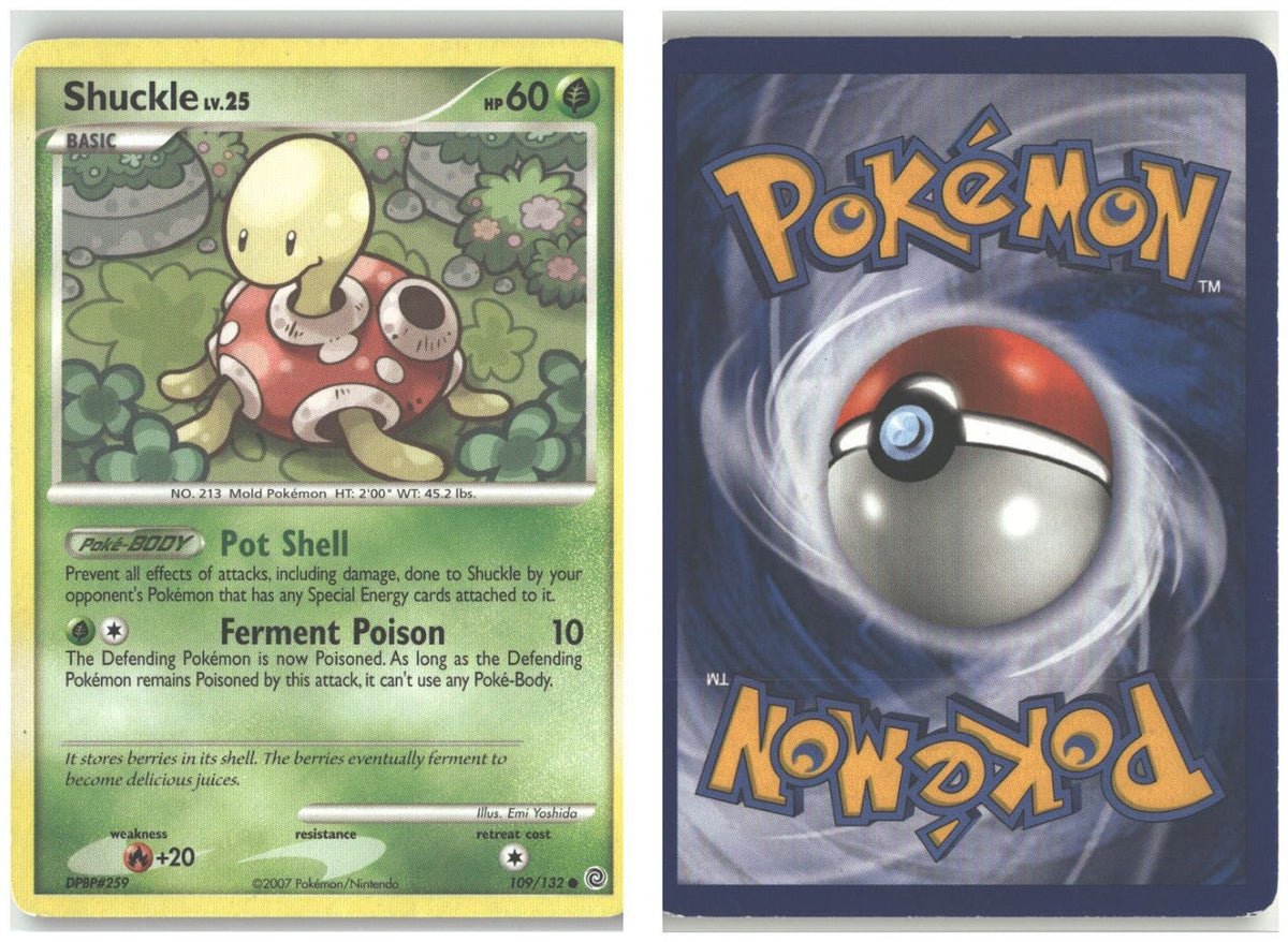 Front + Back scan
