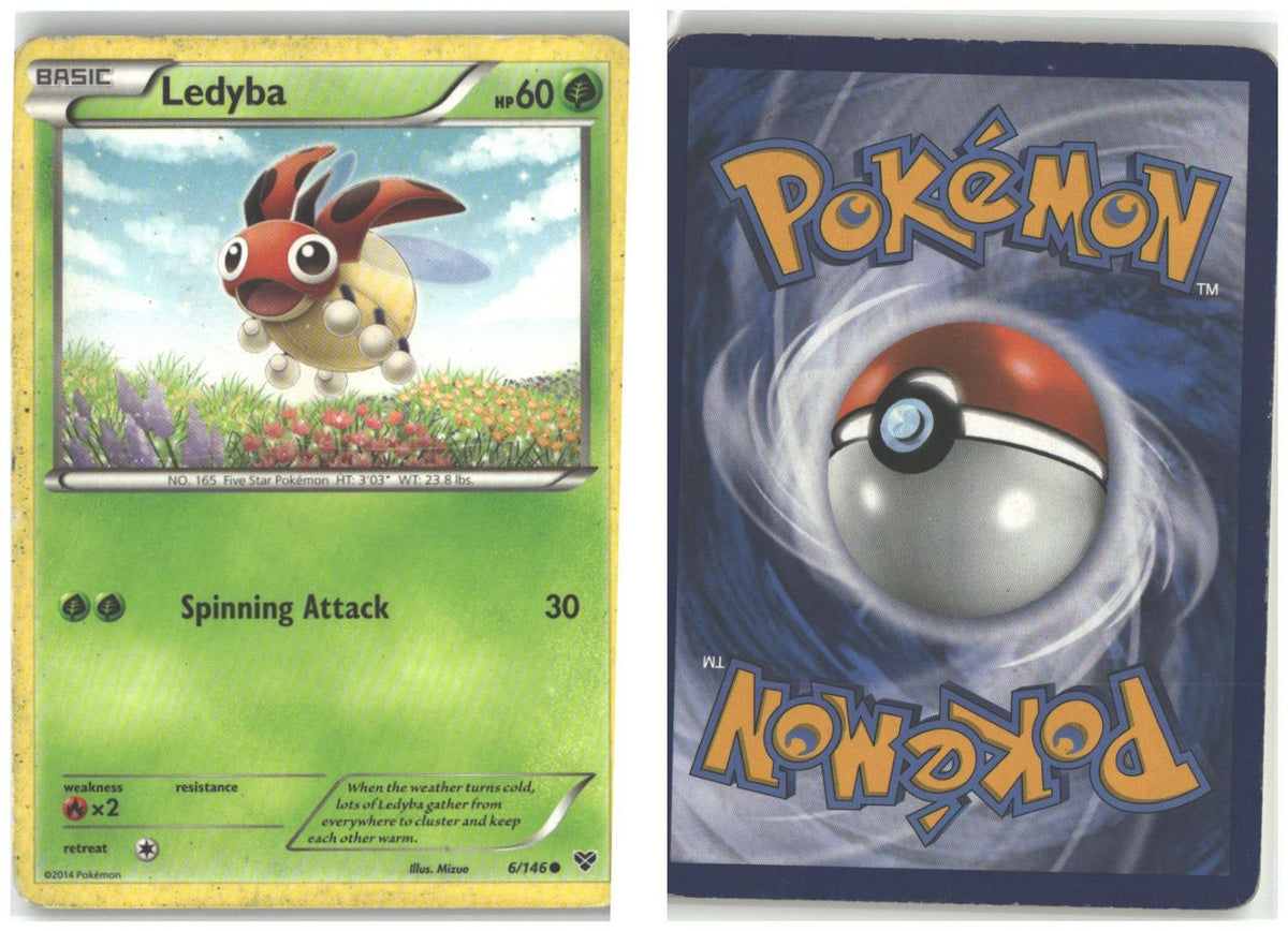 Front + Back scan