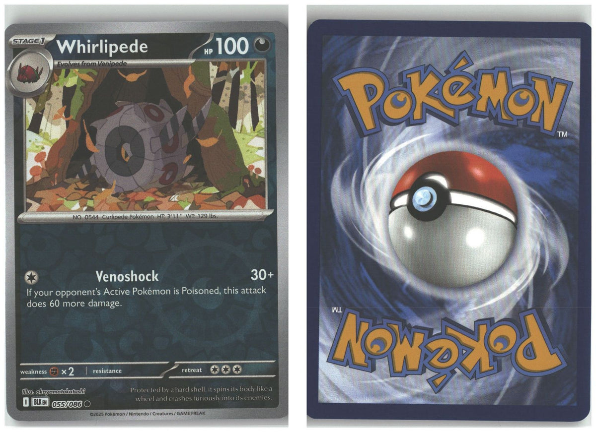 Front + Back scan