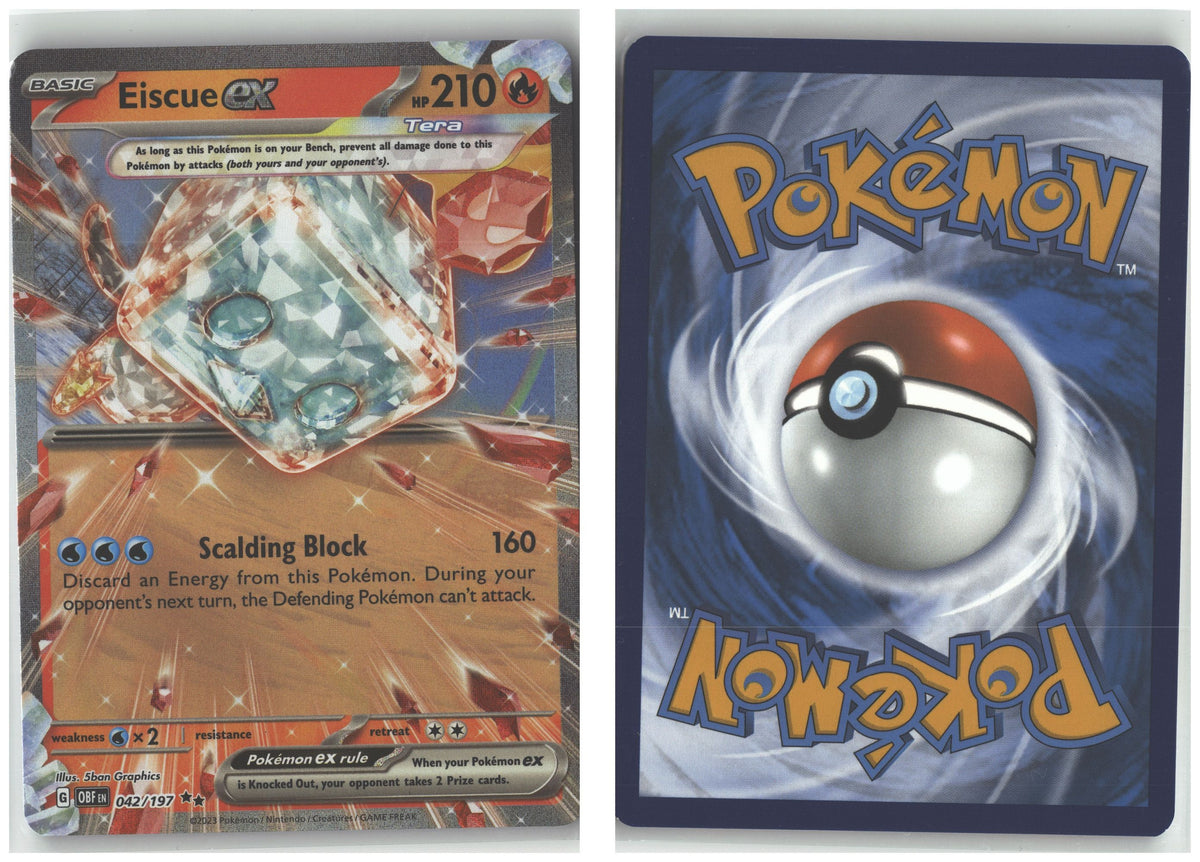 Front + Back scan