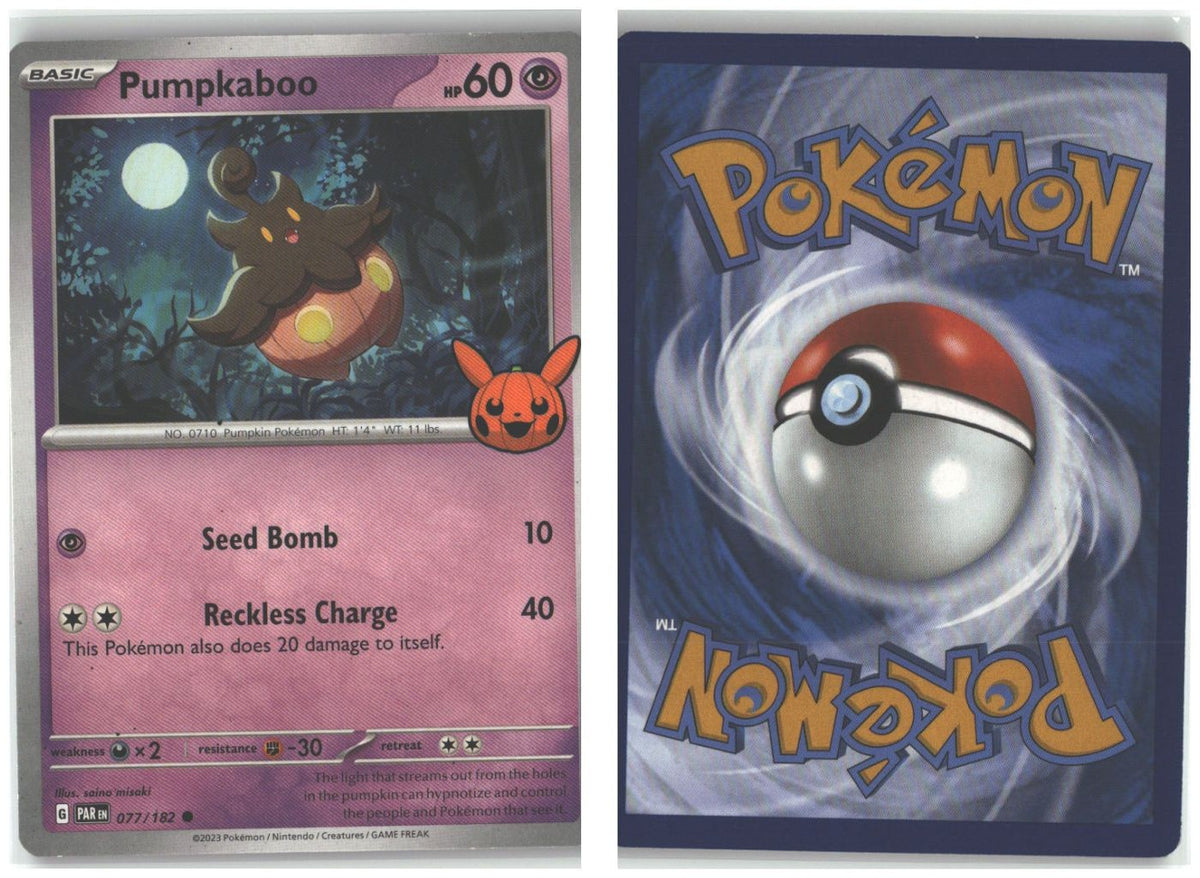 Front + Back scan