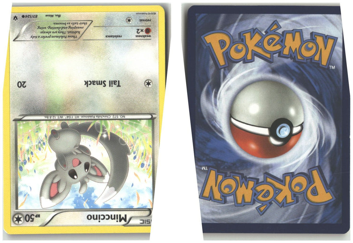 Front + Back scan