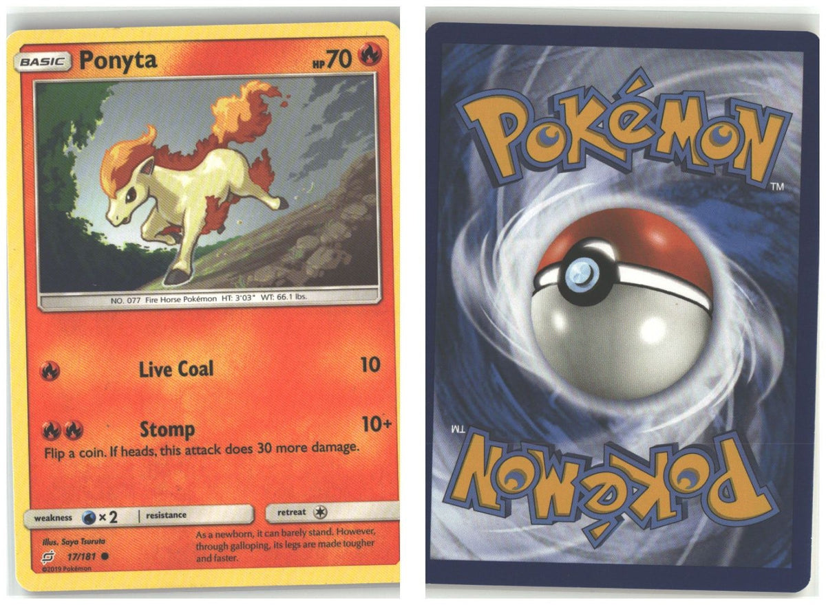 Front + Back scan