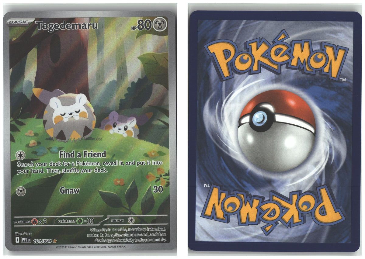 Front + Back scan