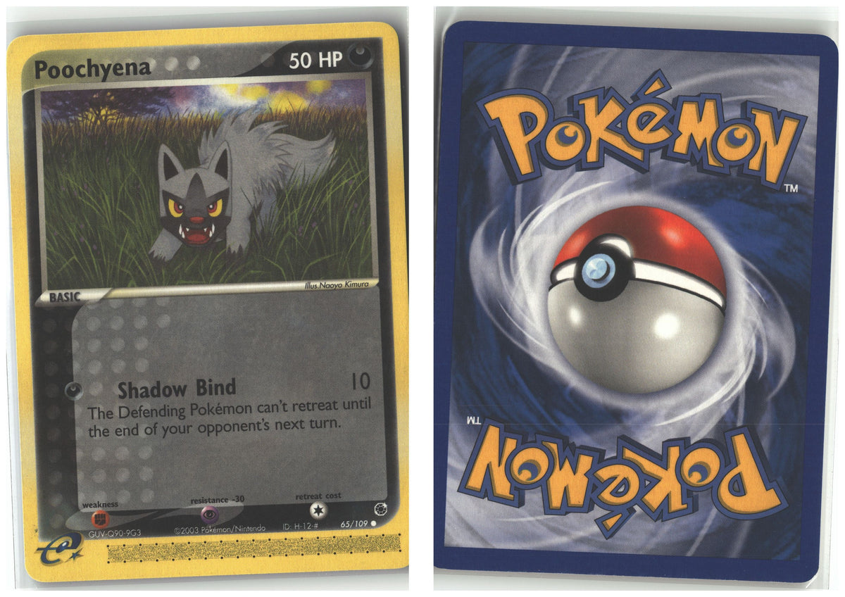 Front + Back scan