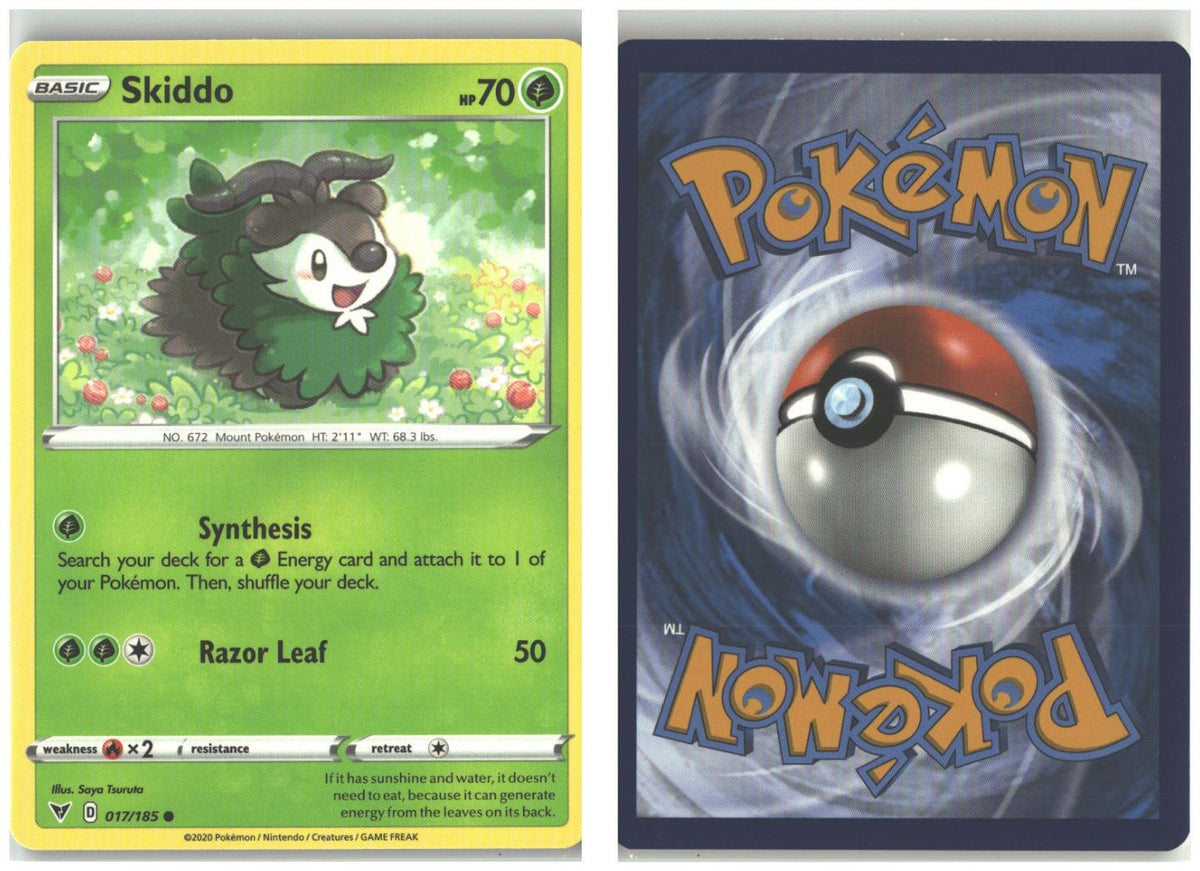 Front + Back scan