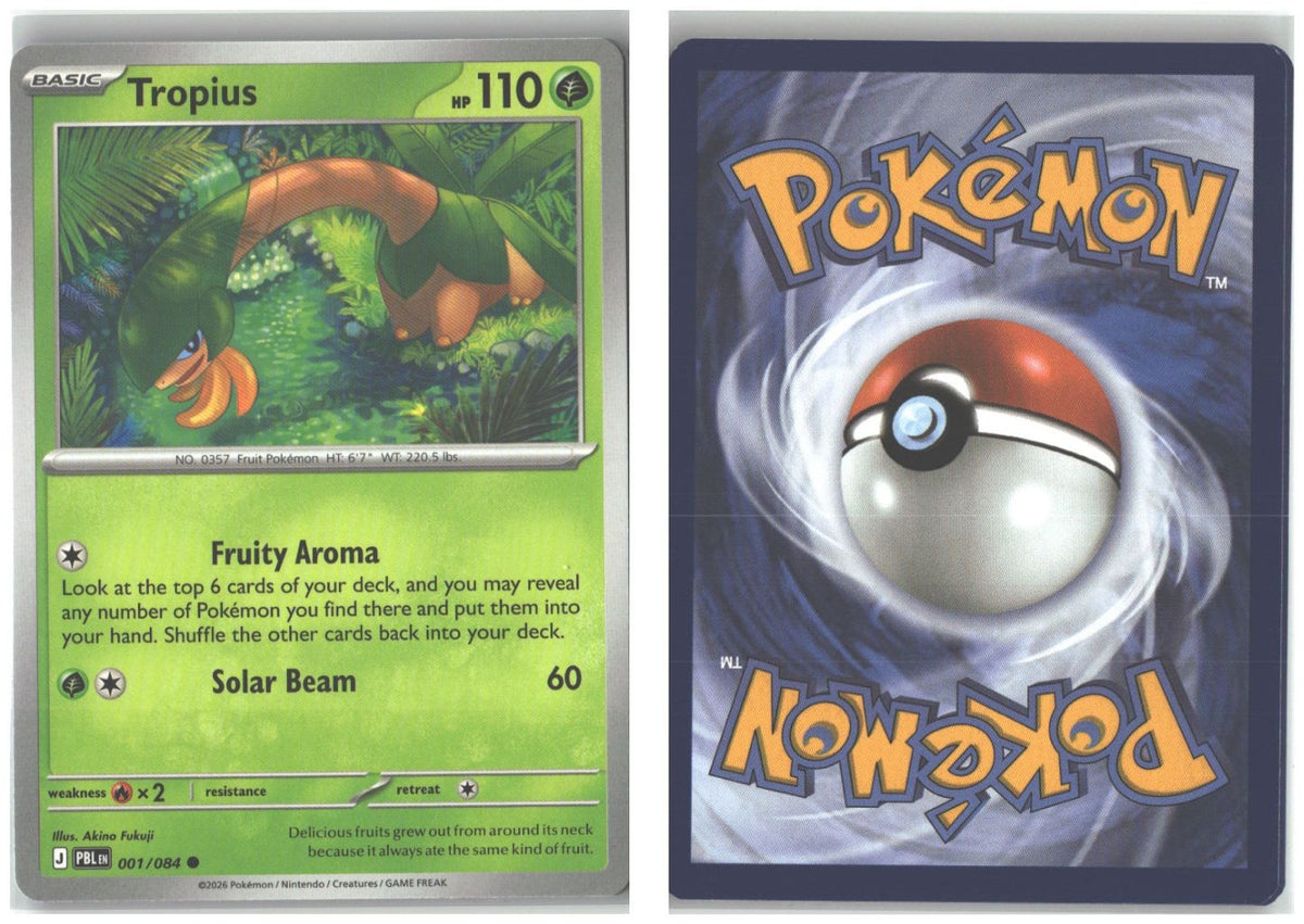 Front + Back scan