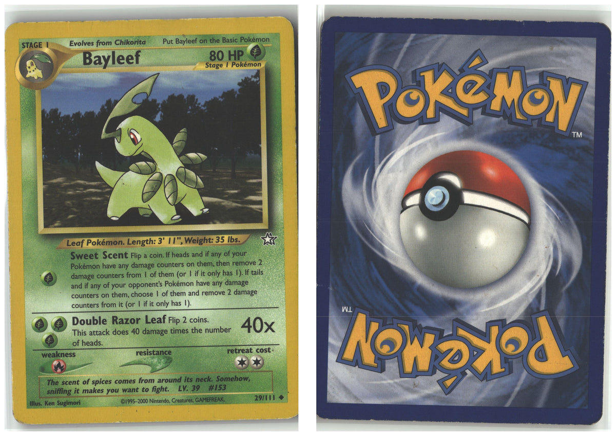Front + Back scan